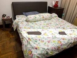 Blk 86 Whampoa Spring (Toa Payoh), HDB 3 Rooms #501934131